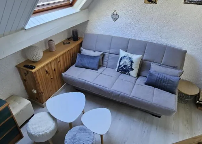 度假居 Le Cocon D'altitude 科特雷